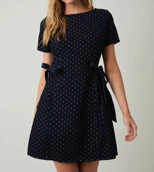 Arden Denim Dress