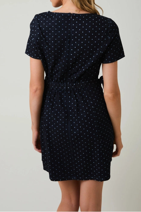 Arden Denim Dress