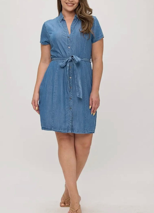 Marlen Denim Dress Plus