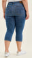 Judy Blue Capris +
