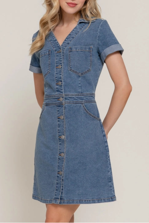 Lira Denim Dress